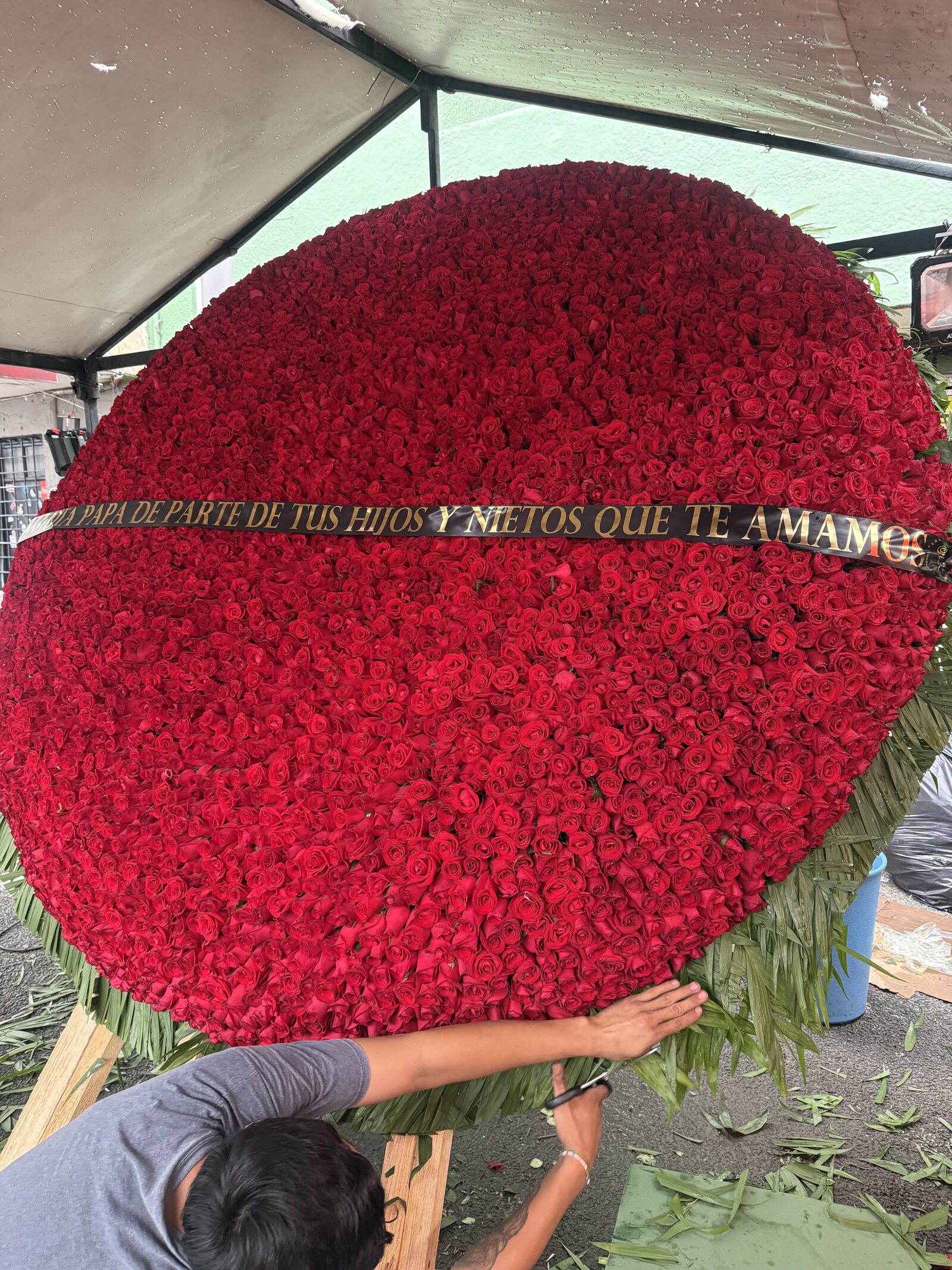 Instalación de la corona monumental de rosas, vista de cerca del listón de dedicatoria