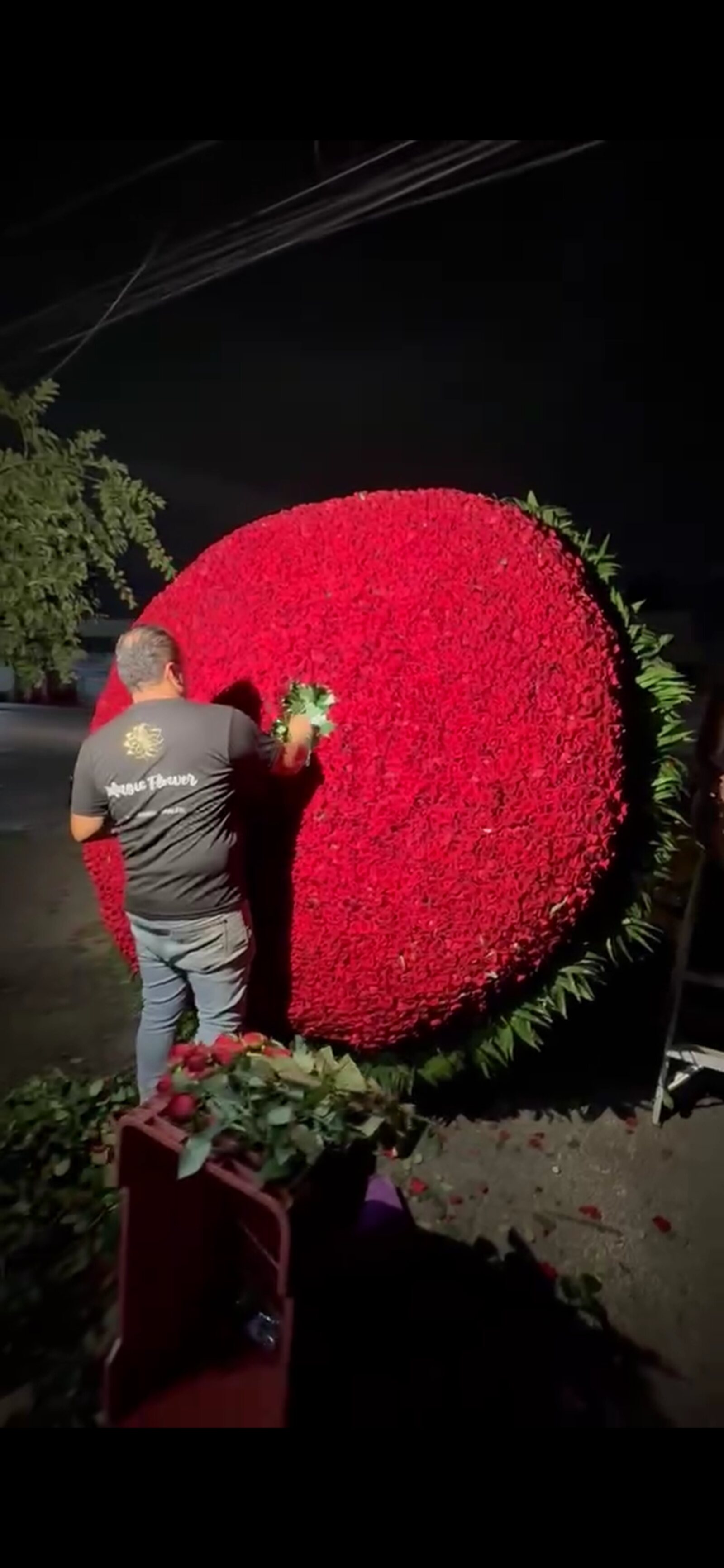 Florista armando la Corona de 5,000 Rosas de noche, colocando las últimas rosas frescas